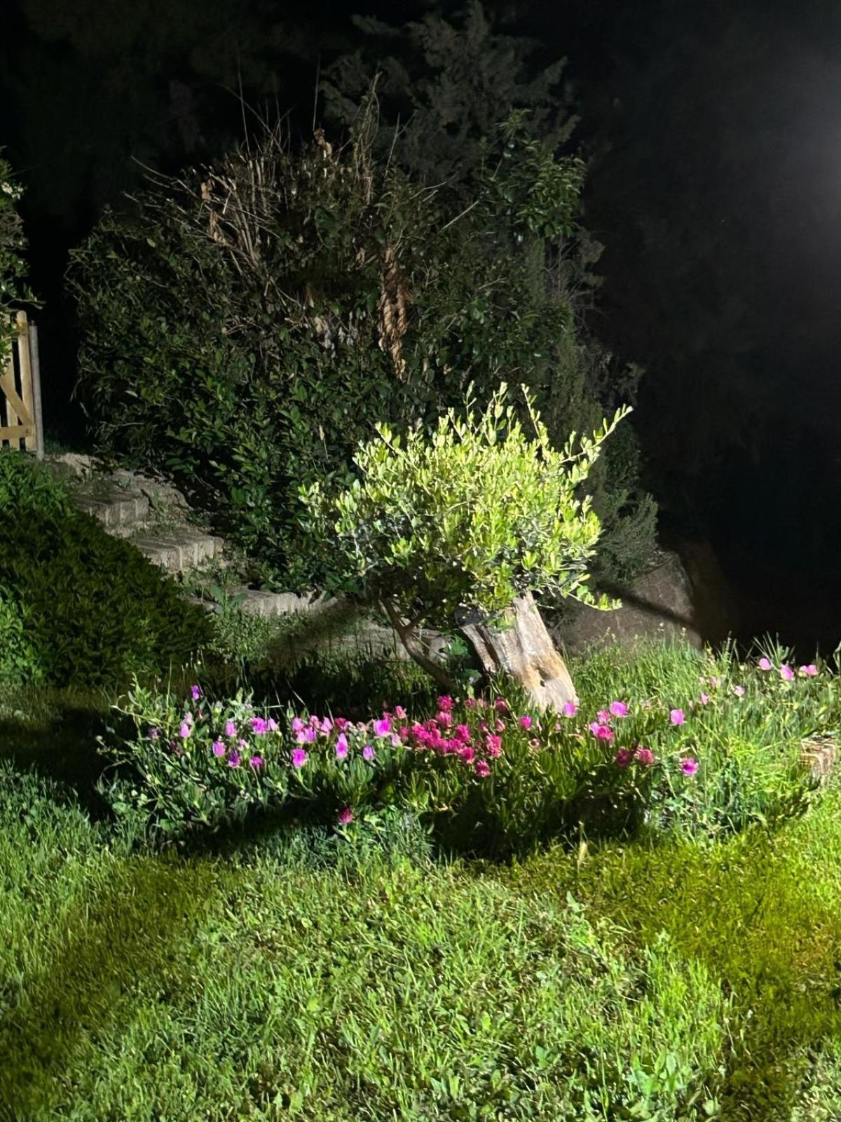 Casalustro Villa Citta Sant'Angelo Eksteriør bilde